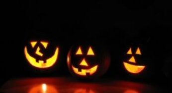 Non solo Halloween: le proprietà dei semi di zucca