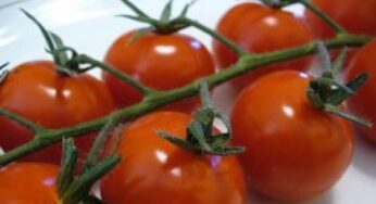 Medicina naturale, il Parkinson si combatte anche con ortaggi, frutta e legumi