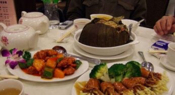 Sei alternative ricche di proteine per una dieta senza carne