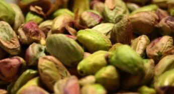 I pistacchi aiutano contro il colesterolo cattivo