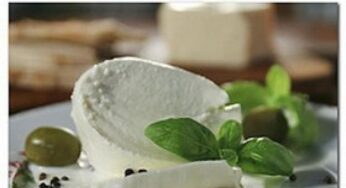 Mozzarella: come sceglierla e conservarla