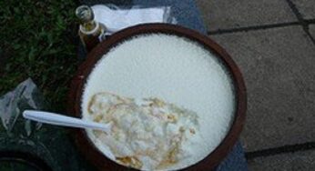 Maschera per pelli grasse allo yogurt