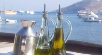 Olio d’Oliva: aiuta a prevenire l’ictus