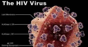 Vaccino HIV: trovato il punto debole del virus