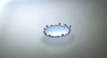 Intolleranza al lattosio: un nuovo metodo per combatterla