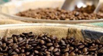 Cose che non sapete sul caffè