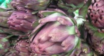 Dieci alimenti per depurarsi dopo le feste