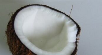 Usi e benefici dell’olio di cocco