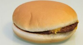 Tattica anti fast-food? Tenere sottocchio un cheeseburger vecchio di un anno