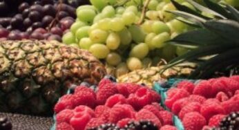 Frutta e verdure: gli antiossidanti secondo colore