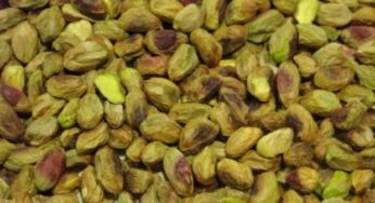 Pistacchi di Bronte, un aiuto per restare in forma