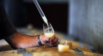 Bere alcol accorcia la vita di 20 anni