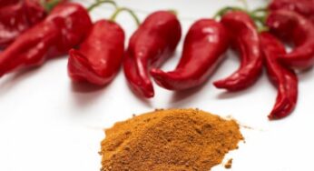 Favorire la circolazione sanguigna con i rimedi più efficaci