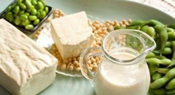 Gli alimenti vegetali con più proteine