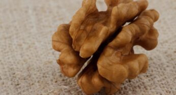Noci tutti i giorni, così l’alimentazione riduce il rischio di cancro alla prostata