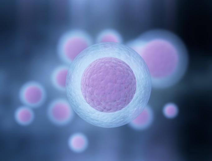 rigenerazione energia cellule