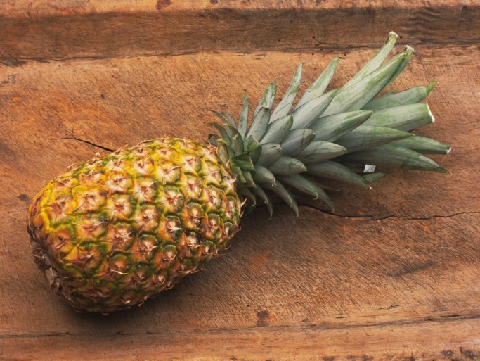 bufale alimentari