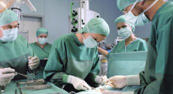 Trapianto di testa, Sergio Canavero annuncia la prima operazione su una scimmia