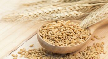 Orzo decorticato: la cottura