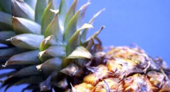 3 enzimi per alleviare dolore e gonfiore