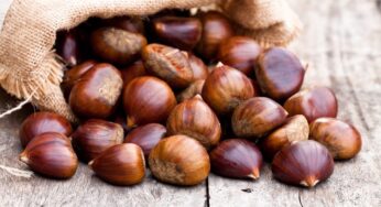 Castagne, proprietà nutrizionali e benefici