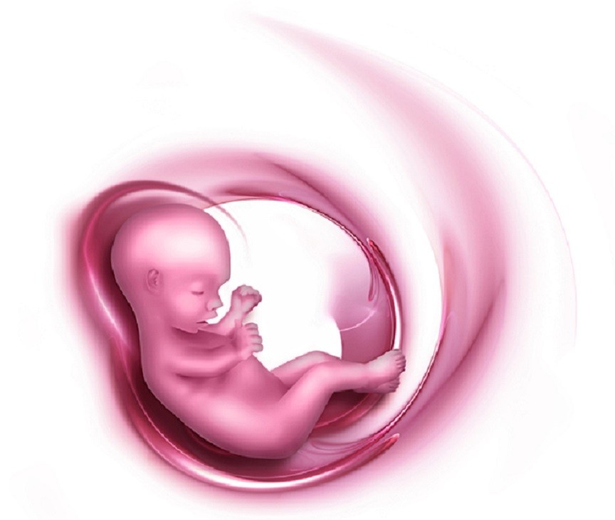 Mangiare placenta