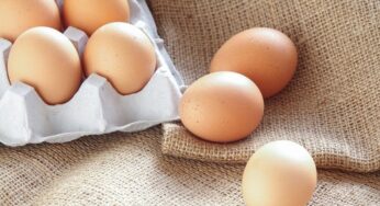 Uova a rischio salmonella: ritirati numerosi lotti