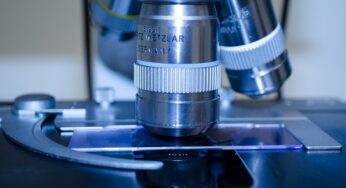 Coronavirus, sviluppato a Padova il nuovo test europeo per la diagnosi