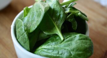 Le verdure a foglia verde sono essenziali per la forza muscolare