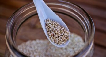 Cereali a basso contenuto di carboidrati: quali sono e i valori nutrizionali