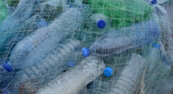 Quante bottiglie di plastica produciamo in un secondo? Un video ce lo rivela