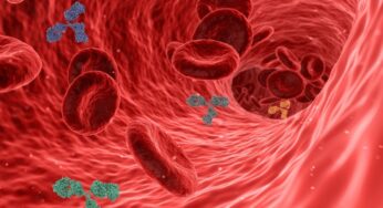 Cos’è la Sindrome di Leriche e come si cura