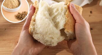 La farina di larve arriva sulle tavole italiane: dal pane alla pasta, dove si trova