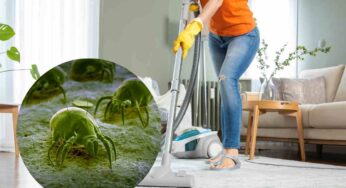 Contro gli acari ti basta un solo ingrediente che hai già in casa: ambienti puliti e sicuri