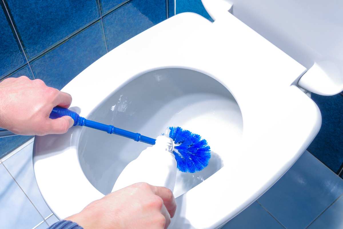 strumenti di pulizia che devi sostituire spesso