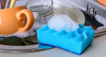 Ogni quanto dovresti (davvero) cambiare la spugna per i piatti? Sbagli sempre e rischi la salute