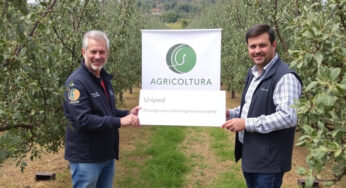 Unapol promuove l’olivicoltura nell’iniziativa “Agricoltura È”